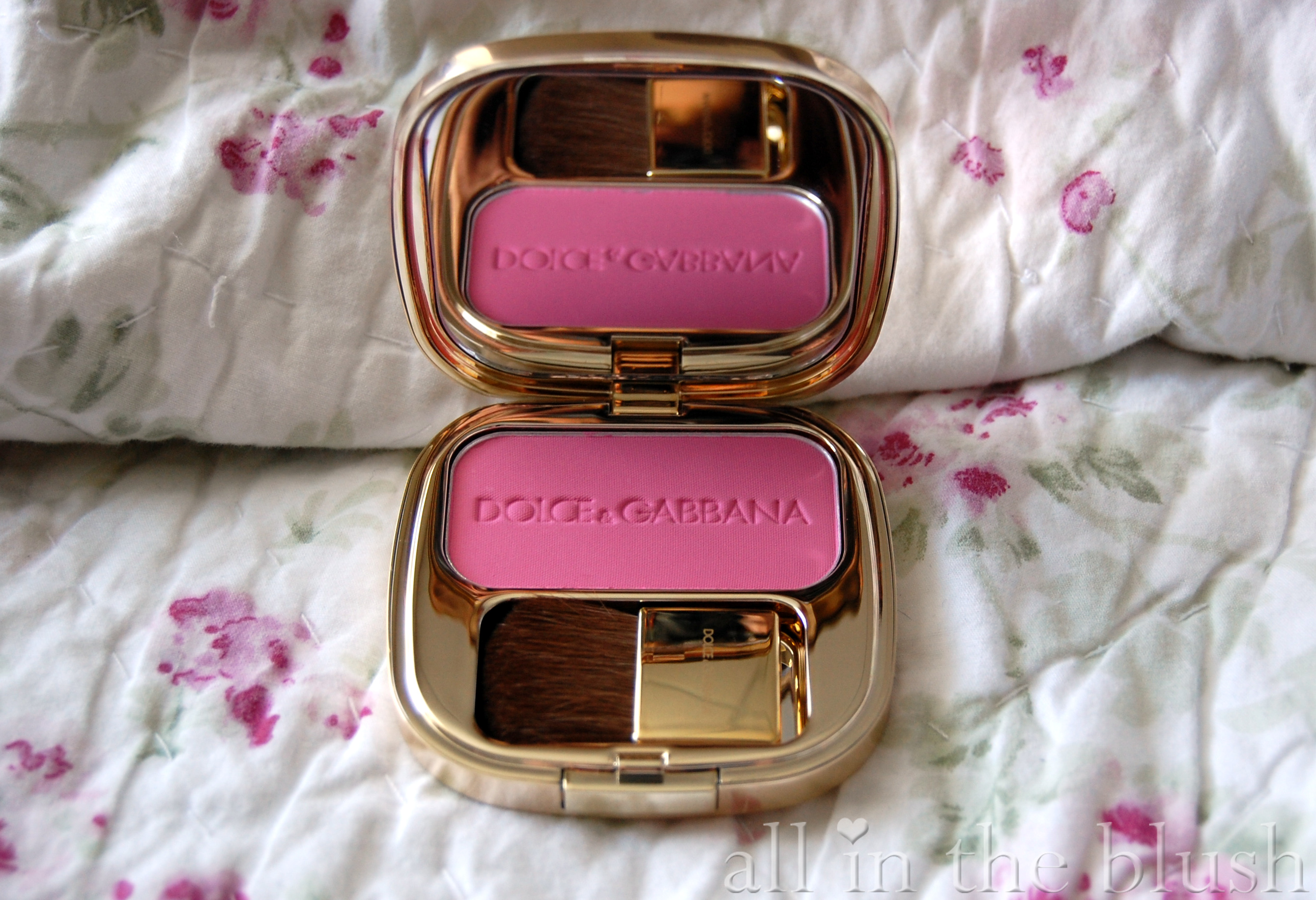 dolce and gabbana blush