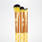 SOHO Disney Belle Enchanted Eyes Brush Set Review