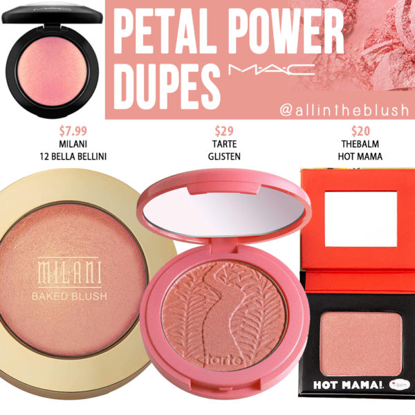 MAC Petal Power Mineralize Blush Dupes All In The Blush