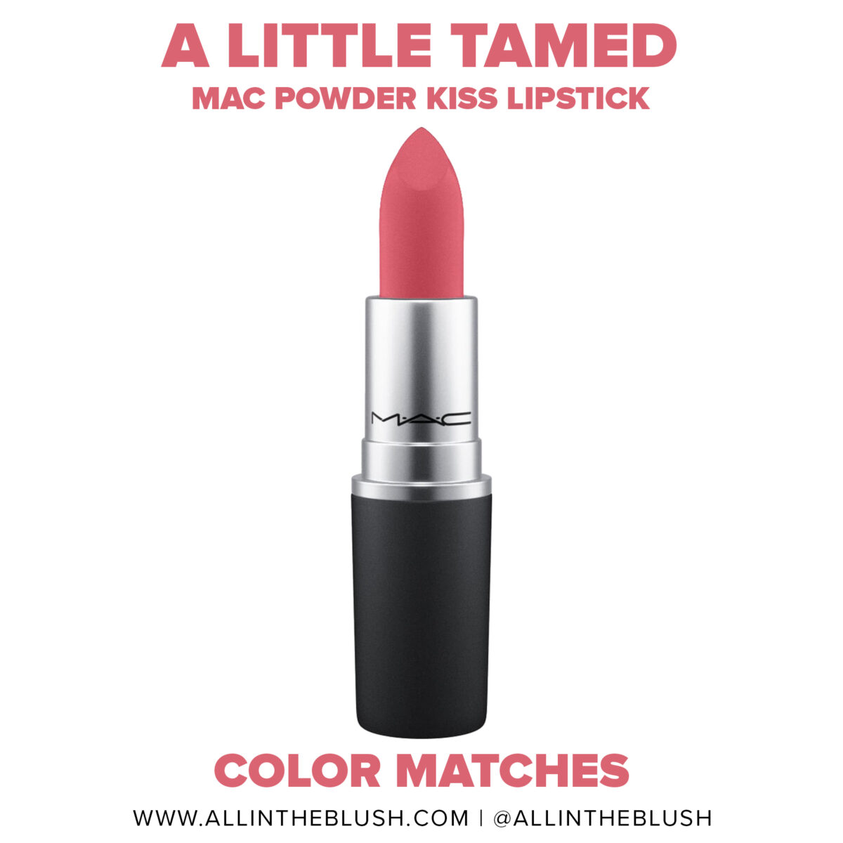 MAC A Little Tamed Powder Kiss Lipstick Dupes