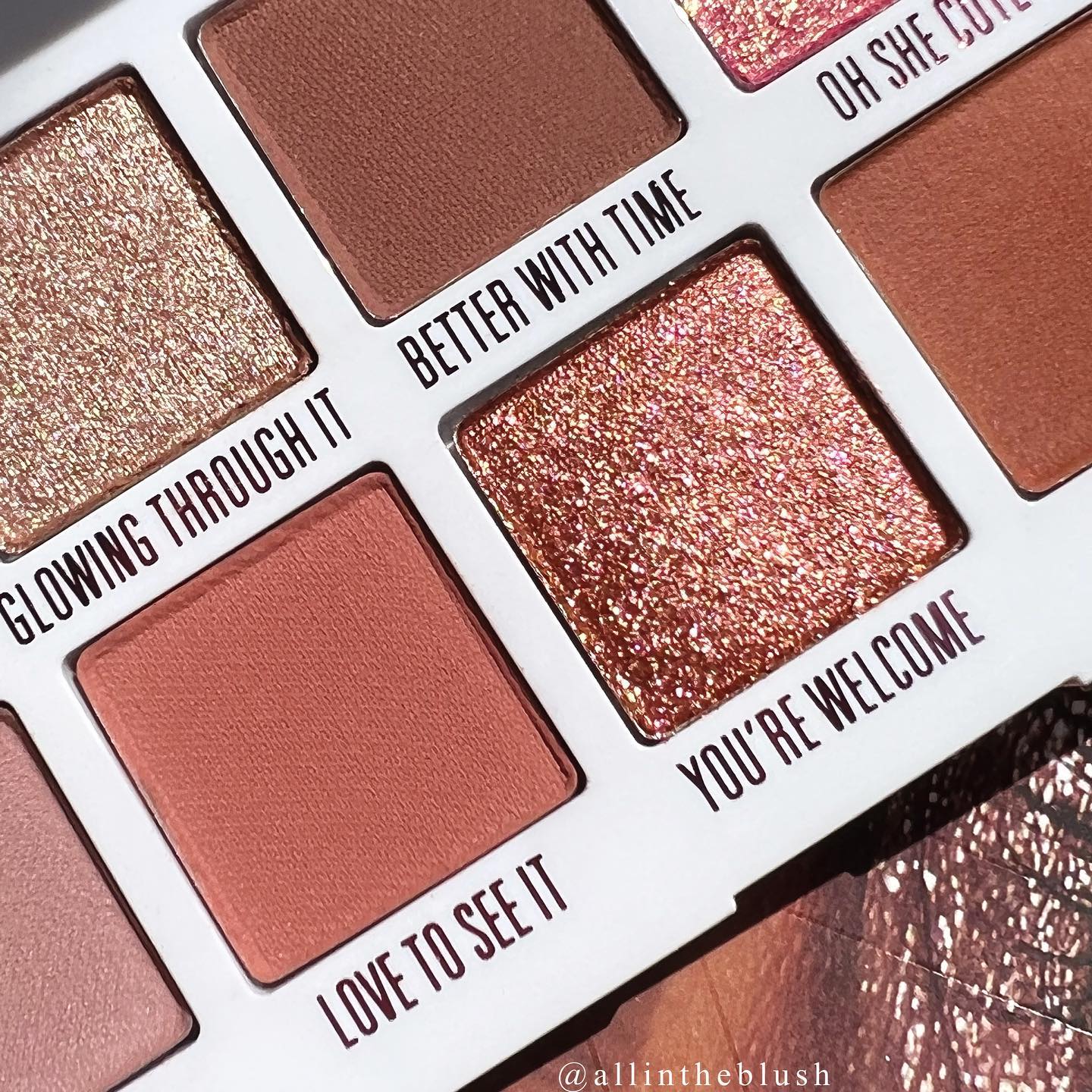 NEW from Kylie Cosmetics: The Bronze & Mauve Palettes - All In The 