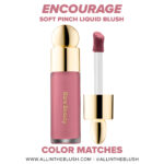 Rare Beauty Encourage Soft Pinch Liquid Blush Color Matches