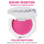 Fenty Beauty Bikini Martini Cheeks Out Freestyle Cream Blush Dupes