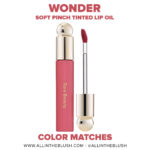 Rare Beauty Wonder Soft Pinch Tinted Lip Oil Color Matches