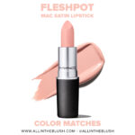 MAC Fleshpot Lipstick Dupes
