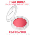 MAC Heat Index Glow Play Cushiony Blush Shade Matches