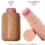 Rhode Piggy Pocket Blush Shade Matches