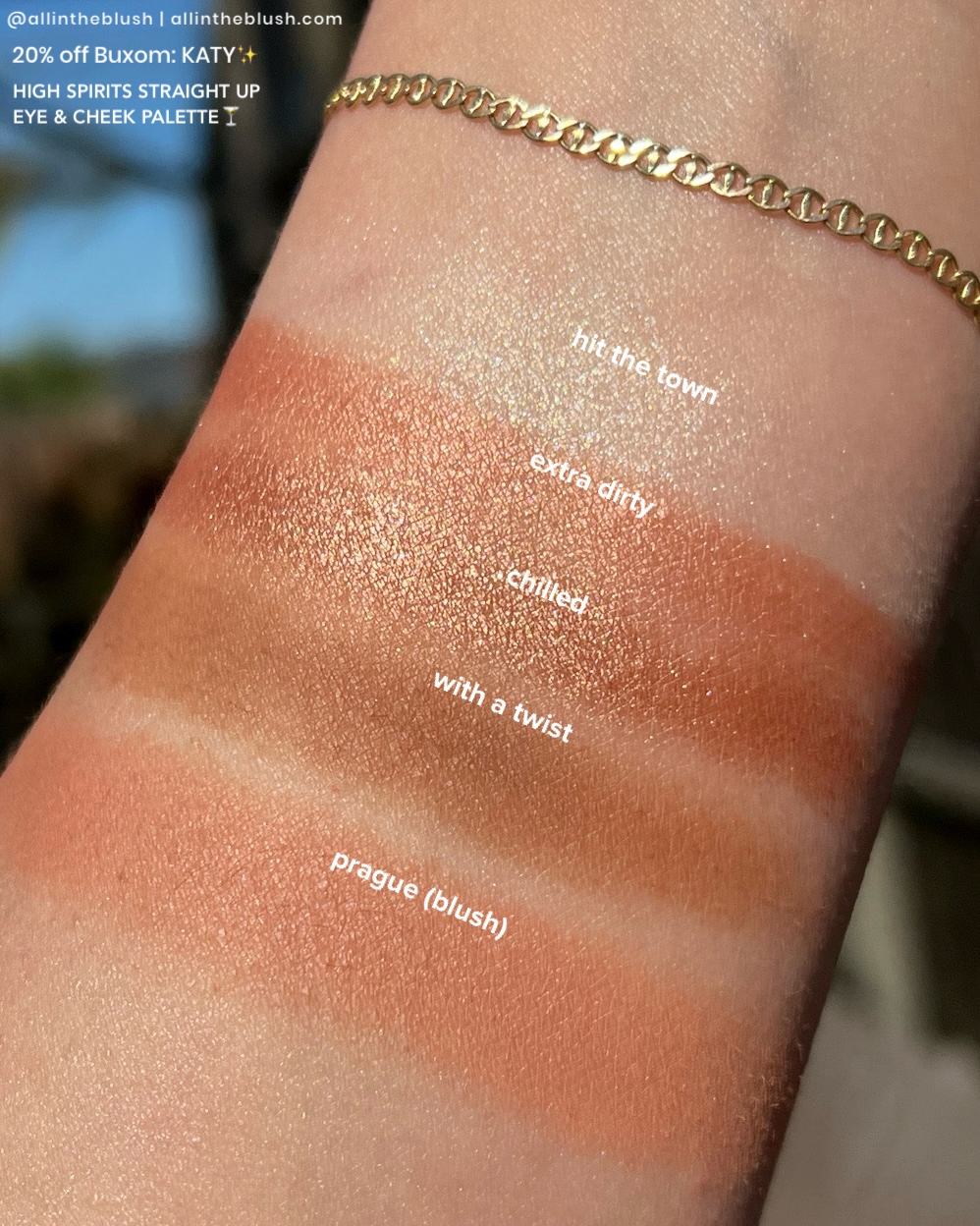 Swatching Buxom’s High Spirits Straight Up Eye & Cheek Palette