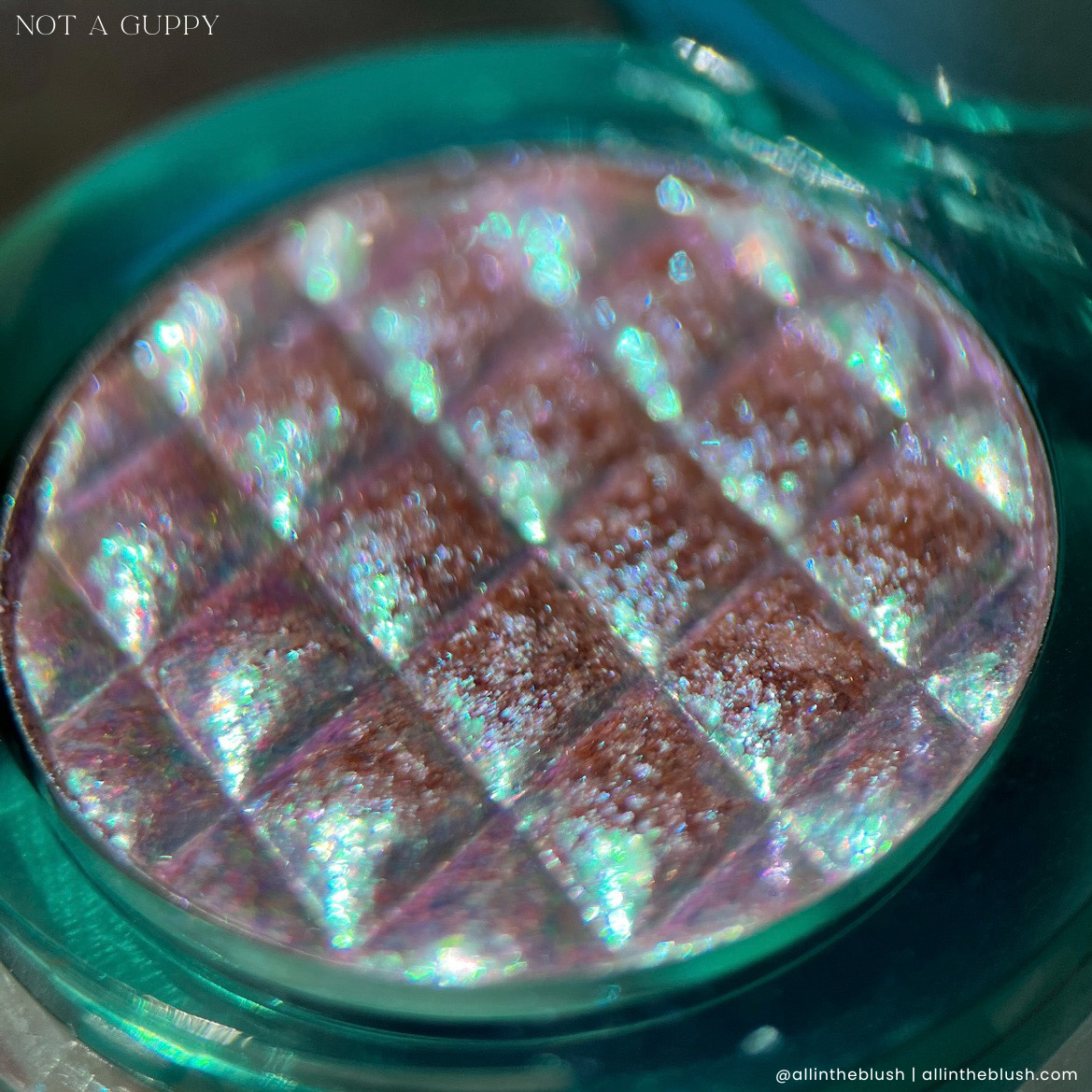 ColourPop Disney Little Mermaid Not a Guppy Highlighter